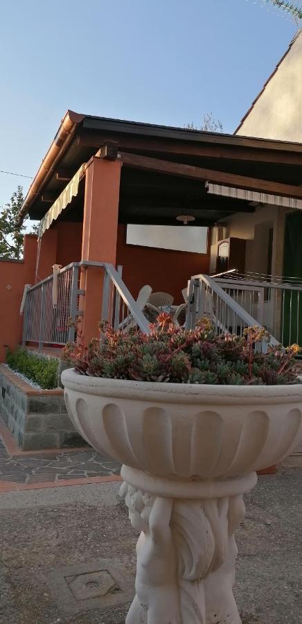 Casa Vacanze Mimose Palinuro Zewnętrze zdjęcie