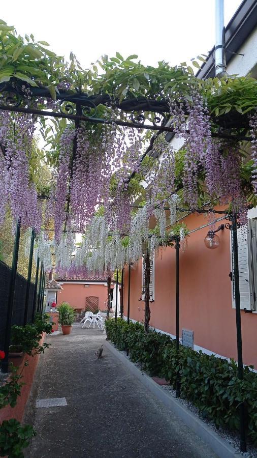 Casa Vacanze Mimose Palinuro Zewnętrze zdjęcie