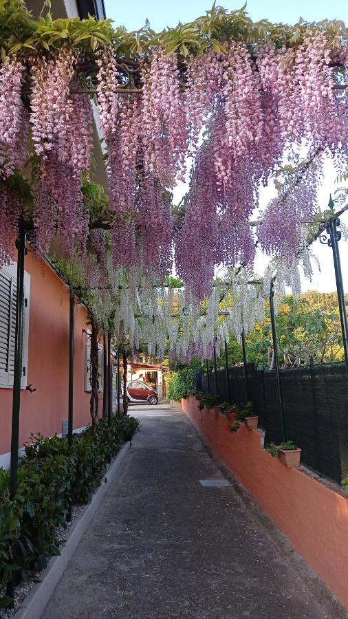 Casa Vacanze Mimose Palinuro Zewnętrze zdjęcie