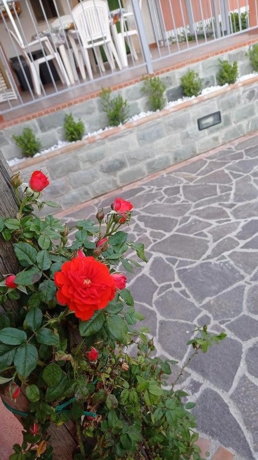 Casa Vacanze Mimose Palinuro Zewnętrze zdjęcie