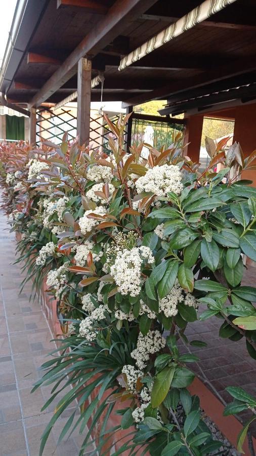 Casa Vacanze Mimose Palinuro Zewnętrze zdjęcie