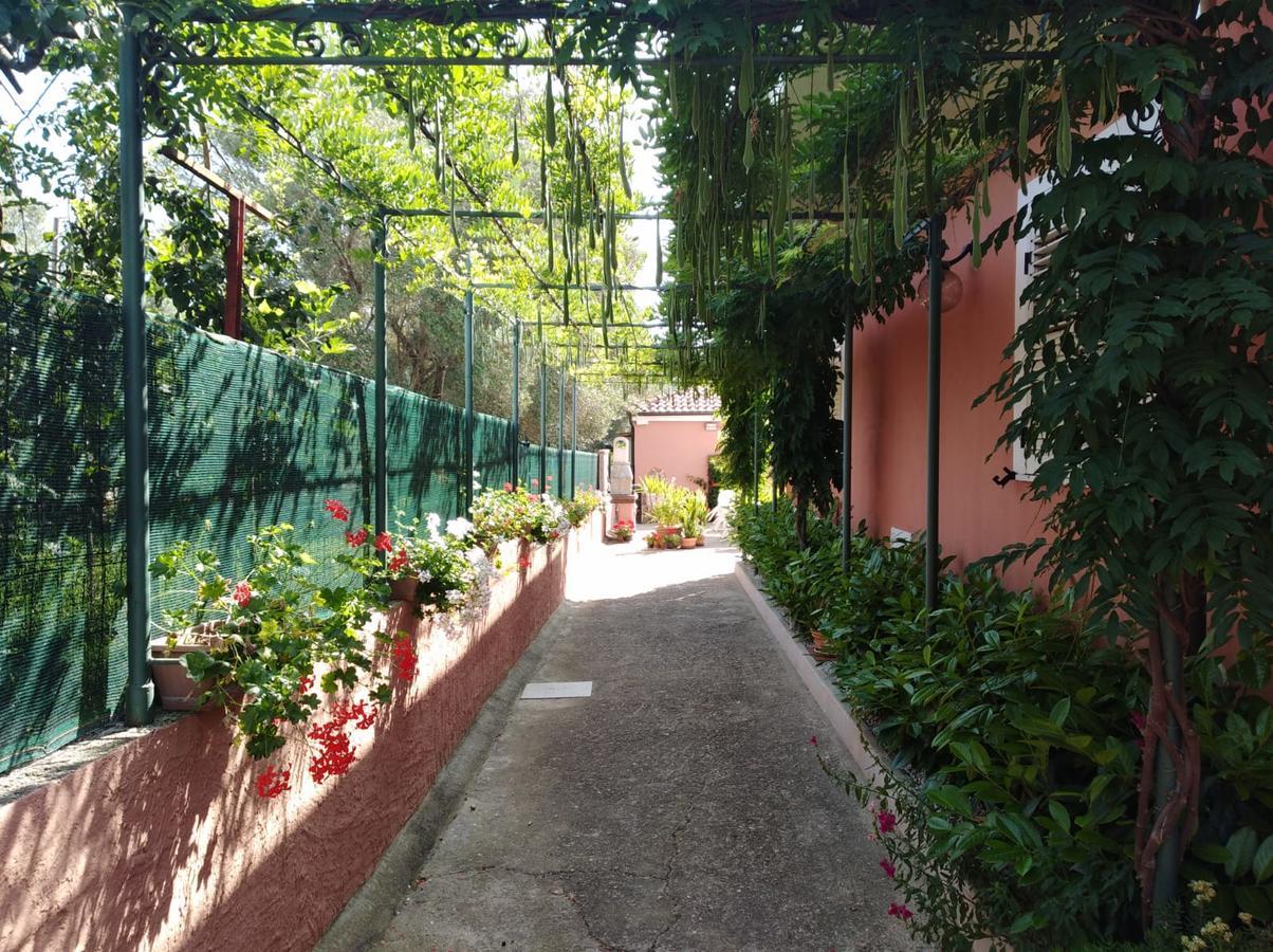 Casa Vacanze Mimose Palinuro Zewnętrze zdjęcie