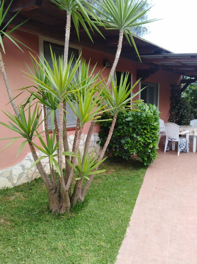 Casa Vacanze Mimose Palinuro Zewnętrze zdjęcie